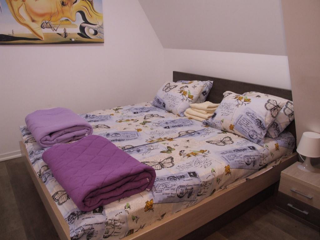 Apartments Mitic كوباونيك المظهر الخارجي الصورة